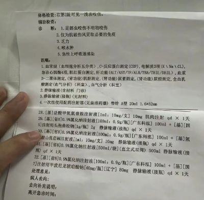 堂三甲医院面对常见蛇伤却毫无办法不朽情缘三亚被蛇咬死的美女真冤堂(图8)